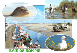 80-BAIE DE SOMME-N°4205-B/0285 - Autres & Non Classés