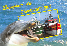 80-CAYEUX SUR MER-N°4205-B/0207 - Cayeux Sur Mer