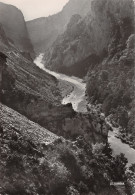 04-GORGES DU VERDON-N°4205-B/0003 - Sonstige & Ohne Zuordnung