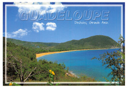 971-GUADELOUPE DESHAIES-N°4205-A/0107 - Otros & Sin Clasificación