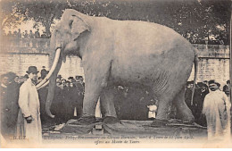 TOURS - L'Eléphant Fritz, Morts à Tours Le 11 Juin 1902 - Très Bon état - Tours