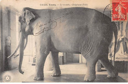 TOURS - Le Musée - Eléphant Fritz - Très Bon état - Tours