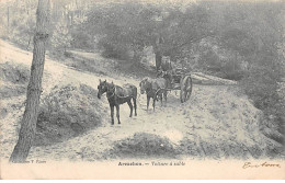 ARCACHON - Voiture à Sable - Très Bon état - Arcachon