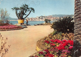 06-CANNES-N°4206-A/0087 - Cannes