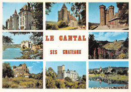 15-CHATEAUX DU CANTAL-N°4205-D/0267 - Other & Unclassified