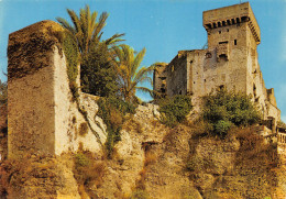 06-ROQUEBRUNE VILLAGE-N°4205-D/0195 - Roquebrune-Cap-Martin