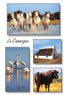 13-LA CAMARGUE-N°4205-D/0101 - Altri & Non Classificati