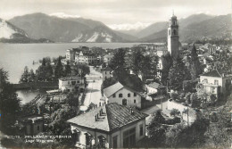 Postcard Italy Lago Maggiore Pallanza Verbania - Other & Unclassified