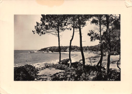 17-SAINT PALAIS SUR MER-N°4206-C/0345 - Saint-Palais-sur-Mer