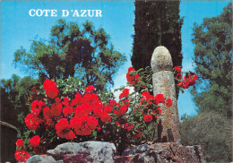 06-COTE D AZUR-N°4206-C/0321 - Autres & Non Classés