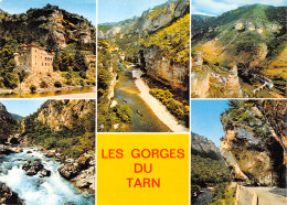 48-LES GORGES DU TARN-N°4206-C/0311 - Other & Unclassified