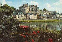 37-AMBOISE-N°4206-C/0053 - Amboise