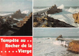 64-BIARRITZ-N°4206-C/0009 - Biarritz