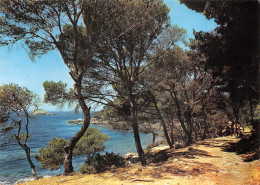 83-COTE D AZUR-N°4206-B/0395 - Other & Unclassified