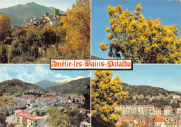 66-AMELIE LES BAINS-N°4206-B/0299 - Other & Unclassified