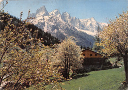 74-LE MONT BLANC-N°4206-B/0287 - Sonstige & Ohne Zuordnung