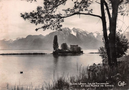 74-LAC LEMAN-N°4206-B/0243 - Other & Unclassified