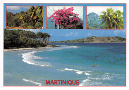972-LA MARTINIQUE-N°4206-B/0233 - Other & Unclassified