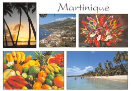 972-LA MARTINIQUE-N°4206-B/0231 - Other & Unclassified