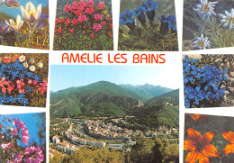 66-AMELIE LES BAINS-N°4206-D/0357 - Other & Unclassified