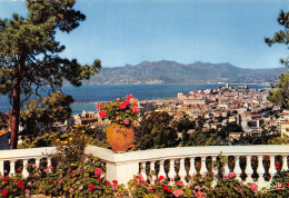 06-CANNES-N°4206-D/0181 - Cannes