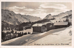 74-CHALET DE COLOMBAZ ET LA PENNAZ-N°5151-A/0075 - Other & Unclassified