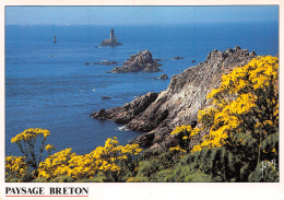 29-LA POINTE DU RAZ-N°4207-A/0369 - La Pointe Du Raz