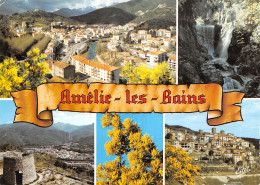 66-AMELIE LES BAINS-N°4207-A/0177 - Other & Unclassified