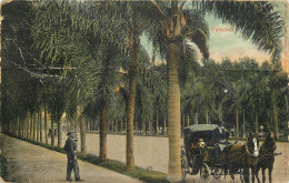 Postcard Italy Palermo Coach - Palermo