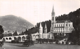 65-LOURDES-N°5151-D/0191 - Lourdes