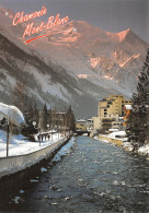 74-CHAMONIX-N°4208-A/0113 - Chamonix-Mont-Blanc