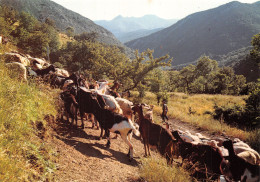 07-LES CEVENNES-N°4208-A/0001 - Sonstige & Ohne Zuordnung