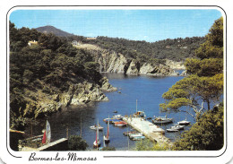 83-BORMES LES MIMOSAS-N°4207-D/0377 - Bormes-les-Mimosas