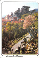 83-BORMES LES MIMOSAS-N°4207-D/0349 - Bormes-les-Mimosas