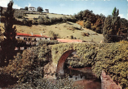 64-PONT NOBLIA-N°4207-D/0129 - Otros & Sin Clasificación