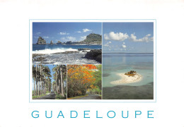 971-GUADELOUPE-N°4208-D/0053 - Other & Unclassified