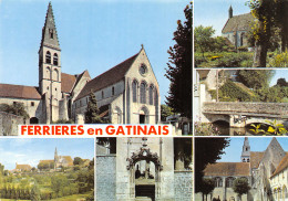 45-FERRIERES EN GATINAIS-N°4208-C/0375 - Autres & Non Classés