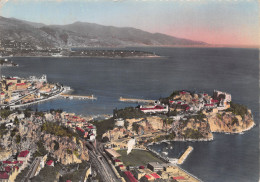 06-MONACO-N°4208-C/0317 - Autres & Non Classés