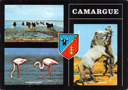 13-EN CAMARGUE-N°4208-C/0213 - Altri & Non Classificati