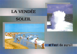 85-LA VENDEE-N°4208-B/0049 - Sonstige & Ohne Zuordnung