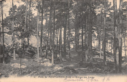 77-FONTAINEBLEAU LA FORET GORGES AUX LOUPS-N°5151-H/0255 - Fontainebleau