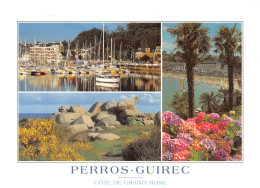 22-PERROS GUIREC-N°4209-A/0225 - Perros-Guirec