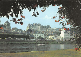 41-SAINT AIGNAN-N°4209-A/0167 - Saint Aignan