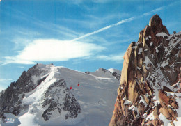 74-CHAMONIX-N°4209-A/0145 - Chamonix-Mont-Blanc