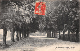 77-BRAY SUR SEINE-N°5152-B/0155 - Bray Sur Seine