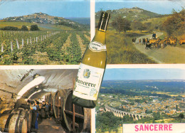 18-SANCERRE-N°4209-B/0295 - Sancerre