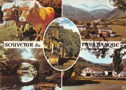 64-PAYS BASQUE-N°4209-B/0121 - Other & Unclassified