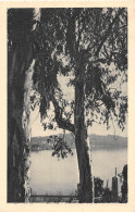 ID-PAYSAGE A IDENTIFIER-N°5152-E/0381 - Da Identificare