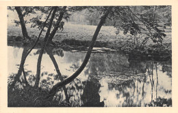 ID-PAYSAGE A IDENTIFIER-N°5152-E/0373 - Da Identificare