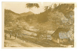 RO 47 - 25468 TG. LAPUS, Maramures, Country Life, Romania - Old Postcard - Unused - Romania